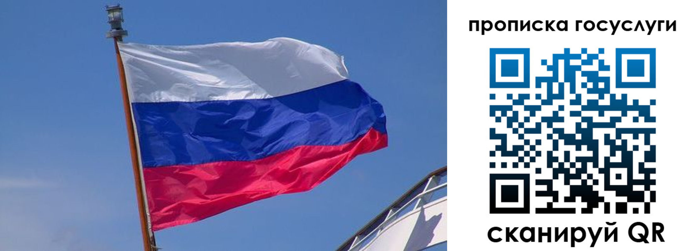 регистрация в Ленинградской области
